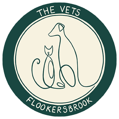 Visit Flookersbrook Veterinary Surgery home page